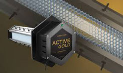 Active-Gold